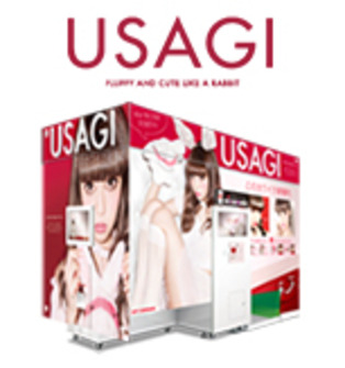 USAGI